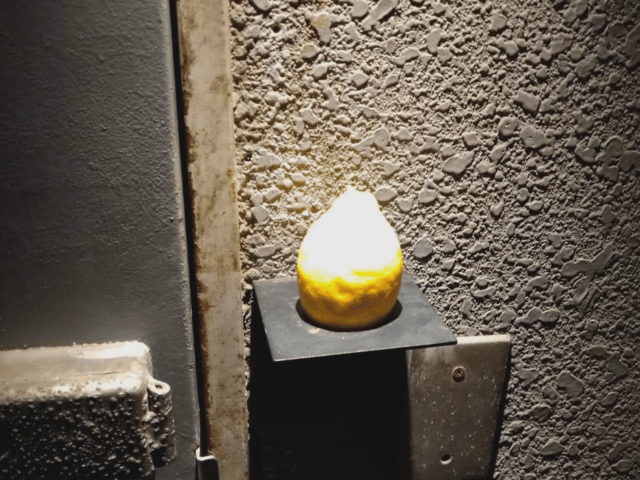 恵比寿Lemon